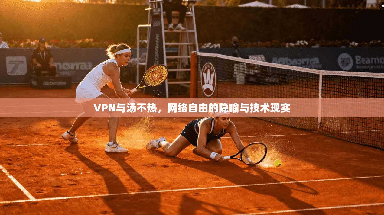 VPN与汤不热，网络自由的隐喻与技术现实