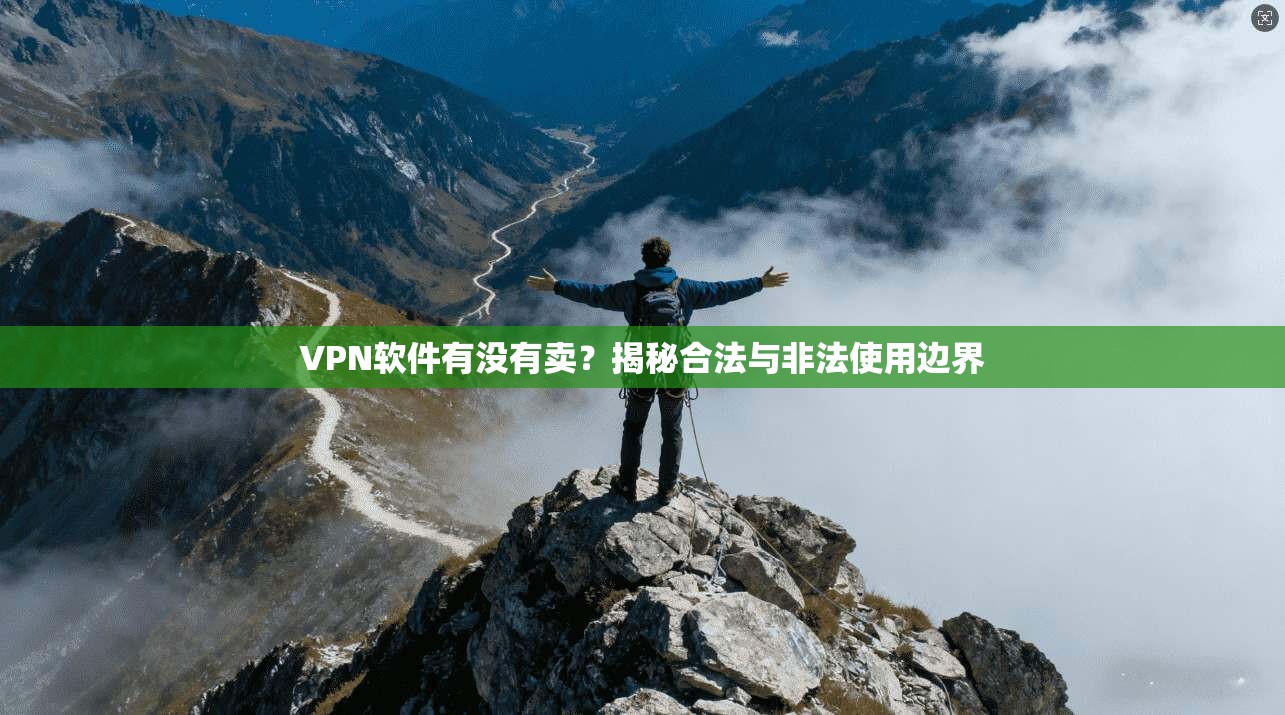 VPN软件有没有卖？揭秘合法与非法使用边界