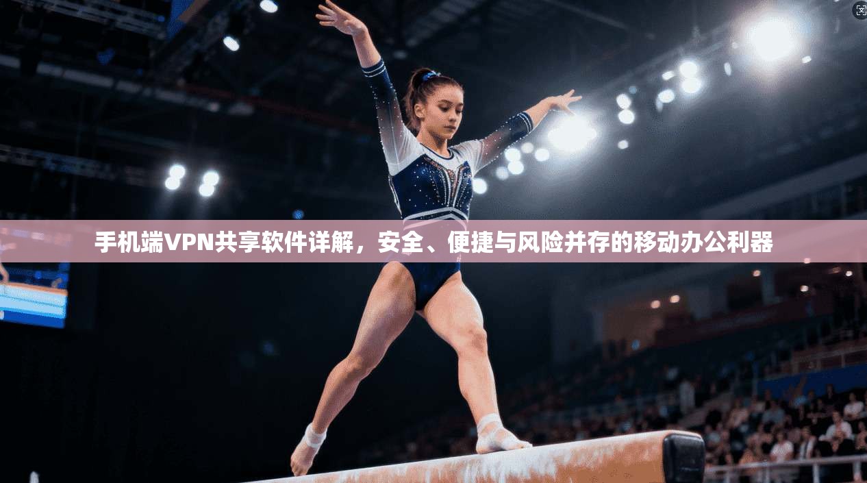 手机端VPN共享软件详解，安全、便捷与风险并存的移动办公利器