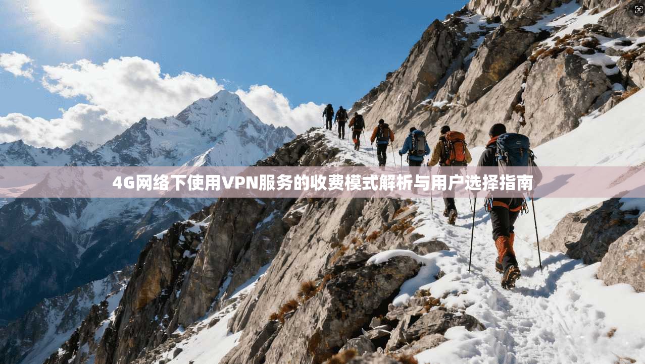 4G网络下使用VPN服务的收费模式解析与用户选择指南
