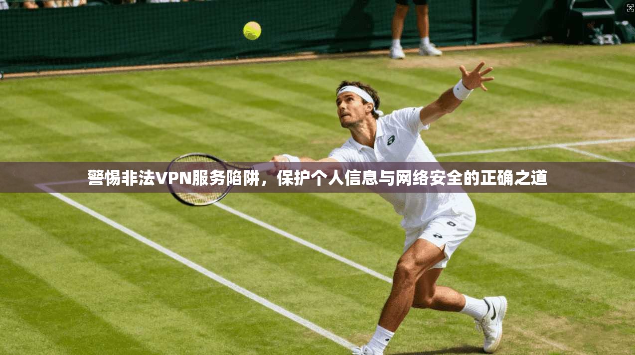 警惕非法VPN服务陷阱，保护个人信息与网络安全的正确之道