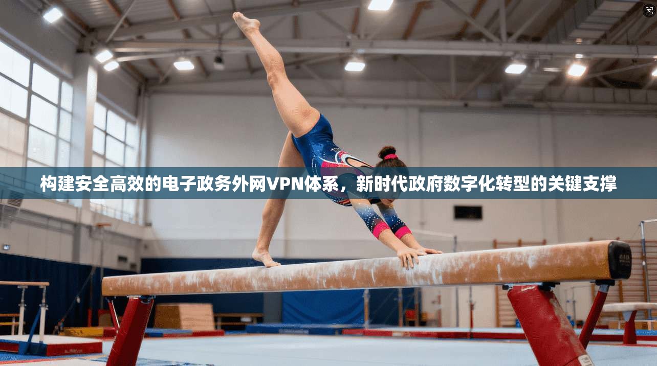 构建安全高效的电子政务外网VPN体系，新时代政府数字化转型的关键支撑