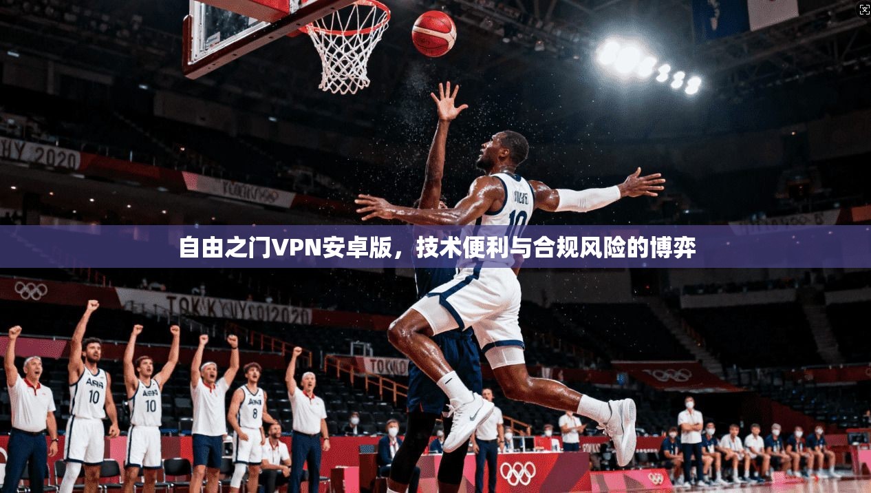 自由之门VPN安卓版，技术便利与合规风险的博弈