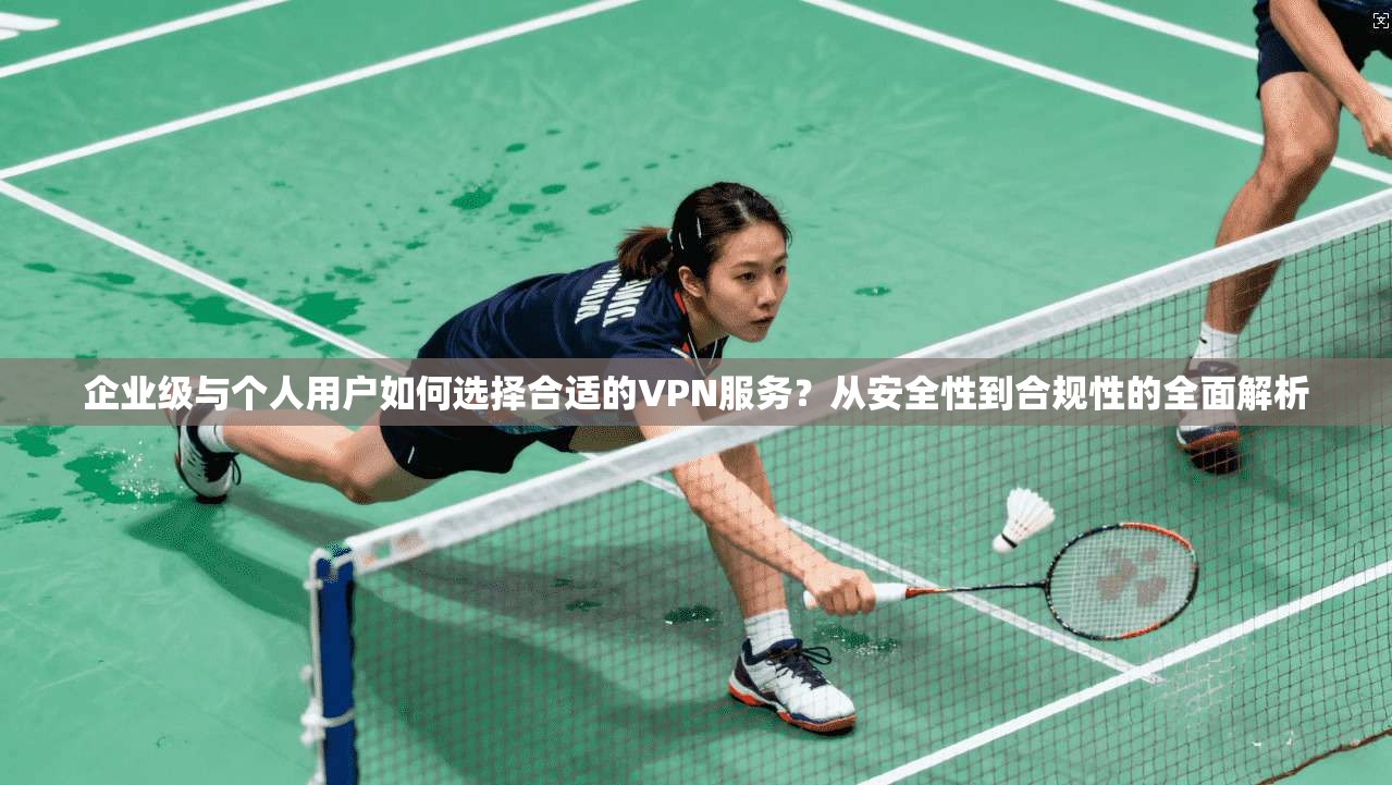 企业级与个人用户如何选择合适的VPN服务？从安全性到合规性的全面解析