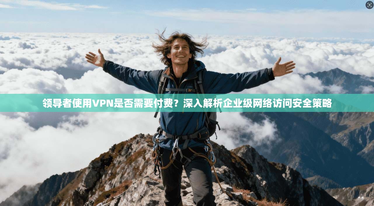 领导者使用VPN是否需要付费？深入解析企业级网络访问安全策略
