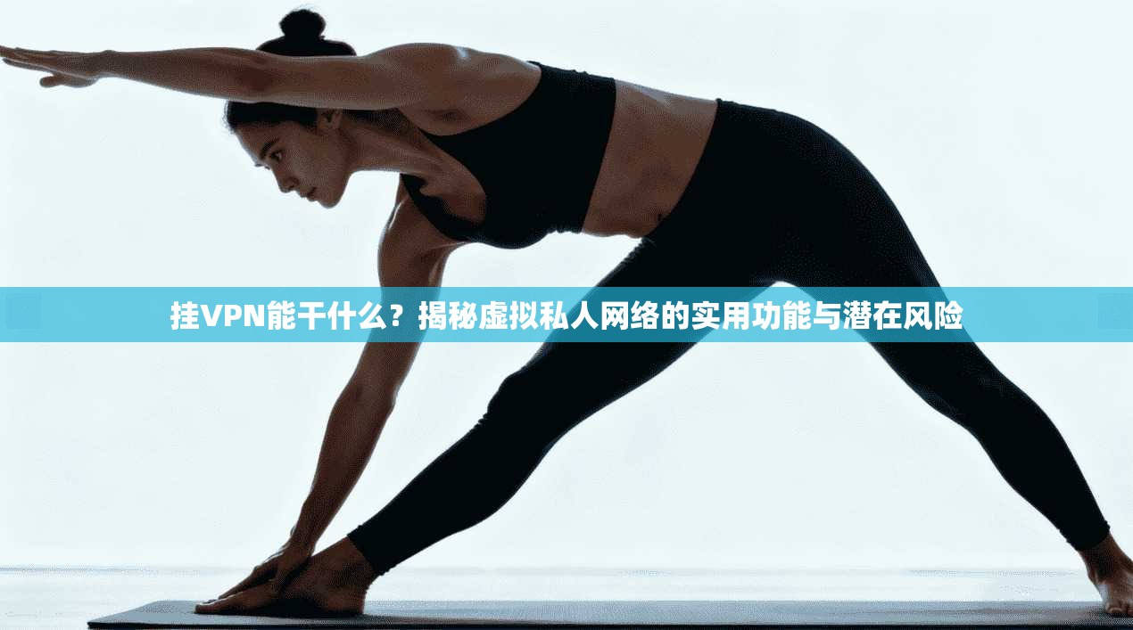 挂VPN能干什么？揭秘虚拟私人网络的实用功能与潜在风险
