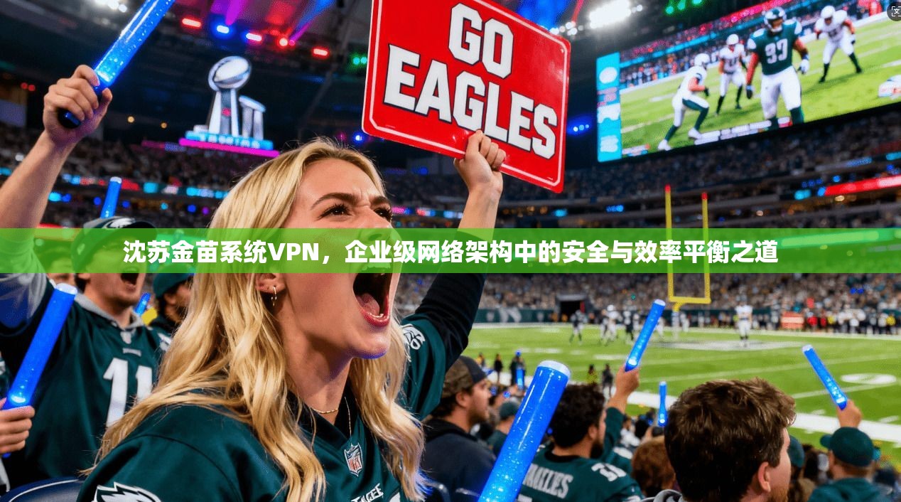 沈苏金苗系统VPN，企业级网络架构中的安全与效率平衡之道