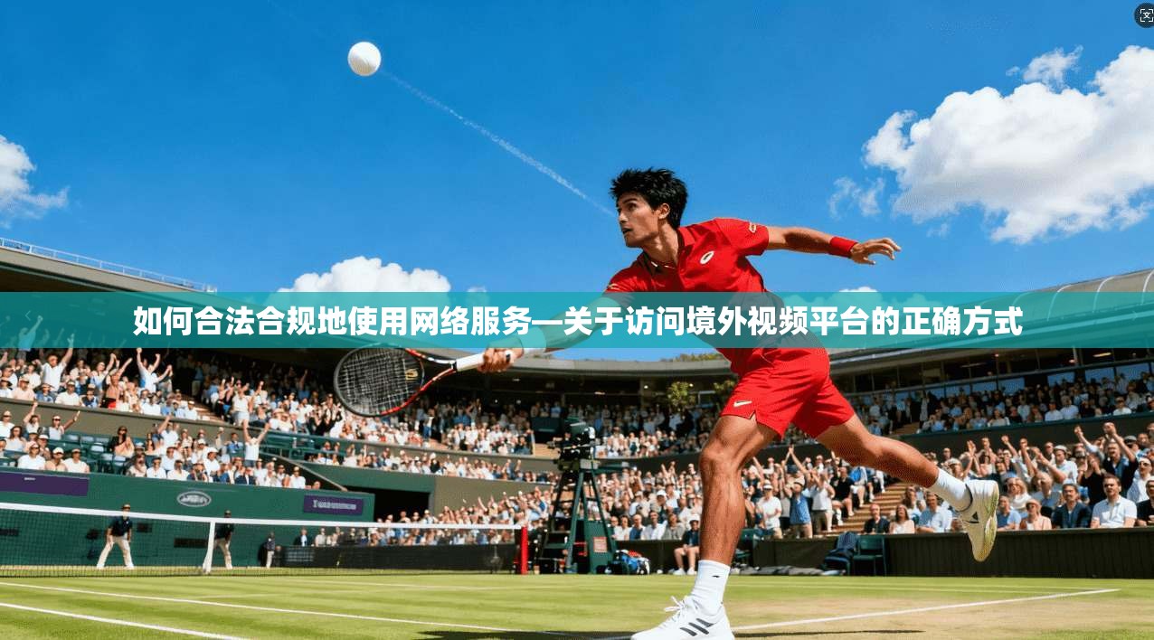 如何合法合规地使用网络服务—关于访问境外视频平台的正确方式