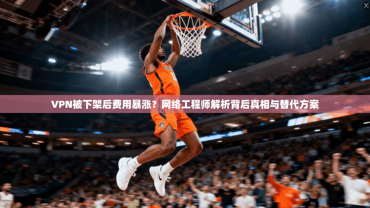 VPN被下架后费用暴涨？网络工程师解析背后真相与替代方案
