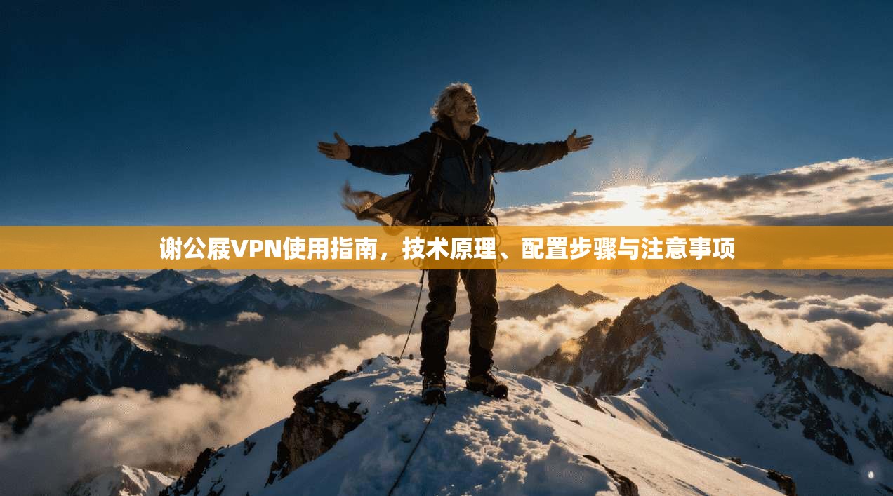谢公屐VPN使用指南，技术原理、配置步骤与注意事项