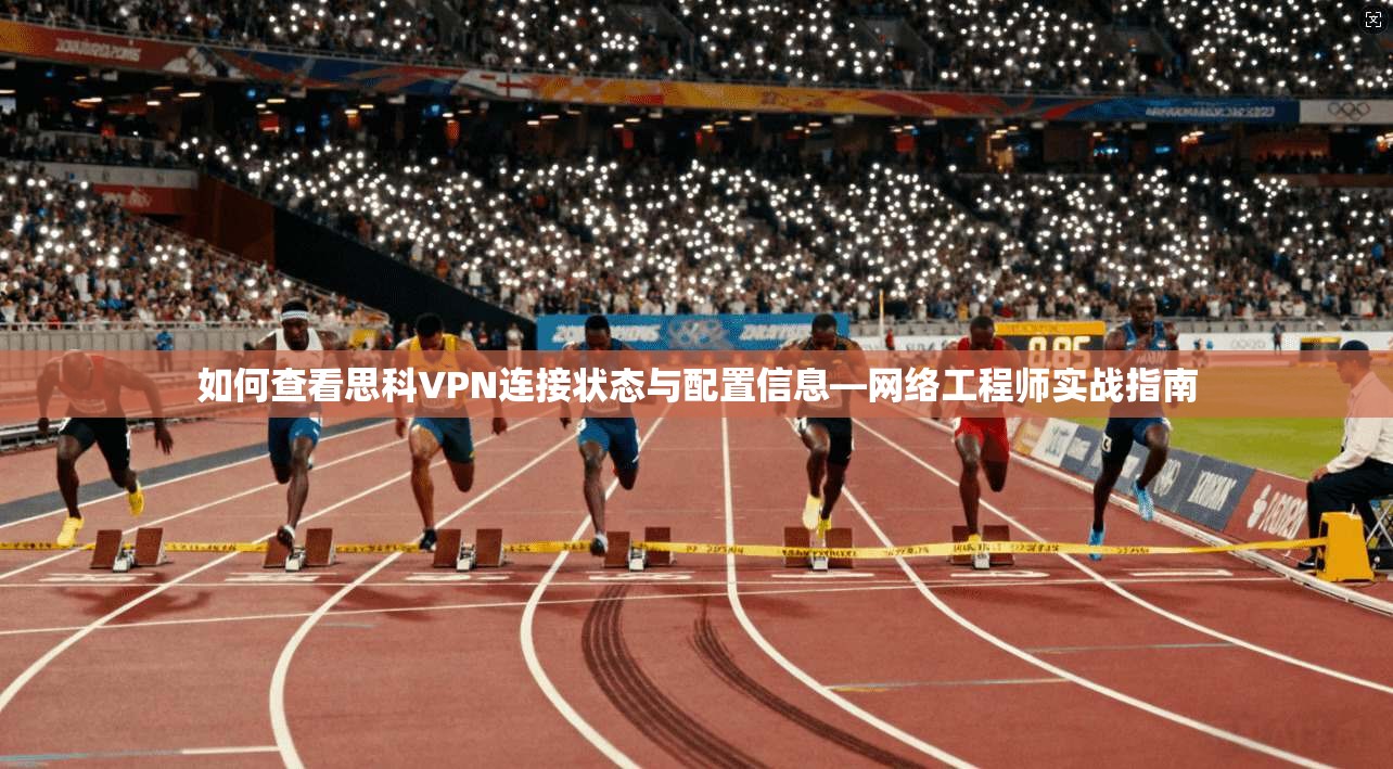如何查看思科VPN连接状态与配置信息—网络工程师实战指南