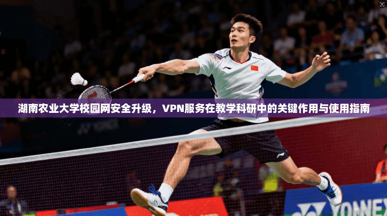 湖南农业大学校园网安全升级，VPN服务在教学科研中的关键作用与使用指南