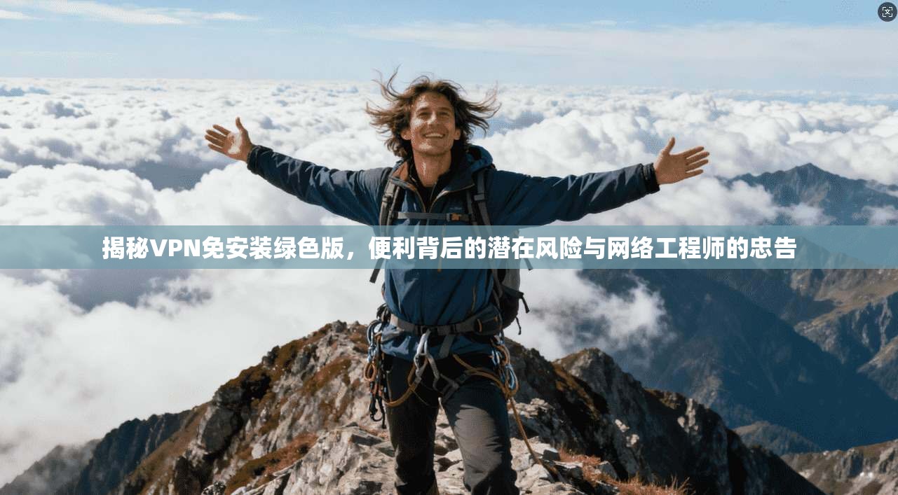 揭秘VPN免安装绿色版，便利背后的潜在风险与网络工程师的忠告