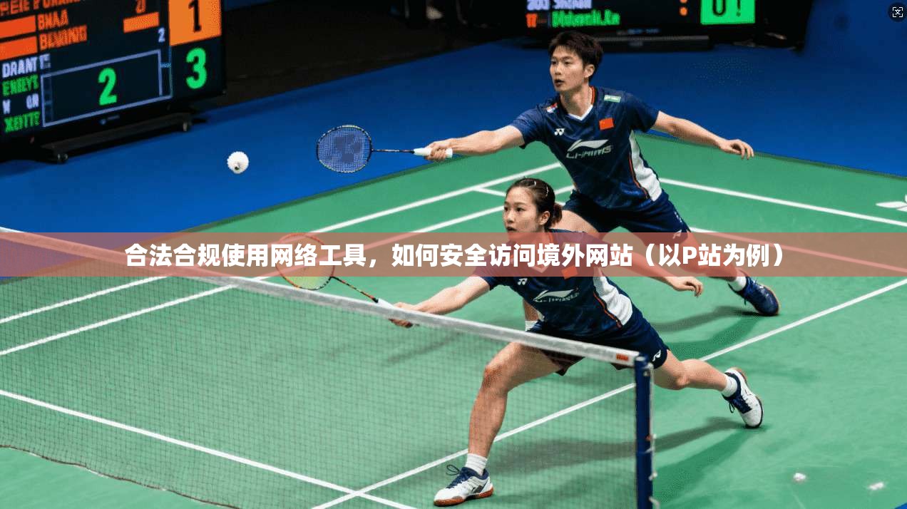 合法合规使用网络工具，如何安全访问境外网站（以P站为例）