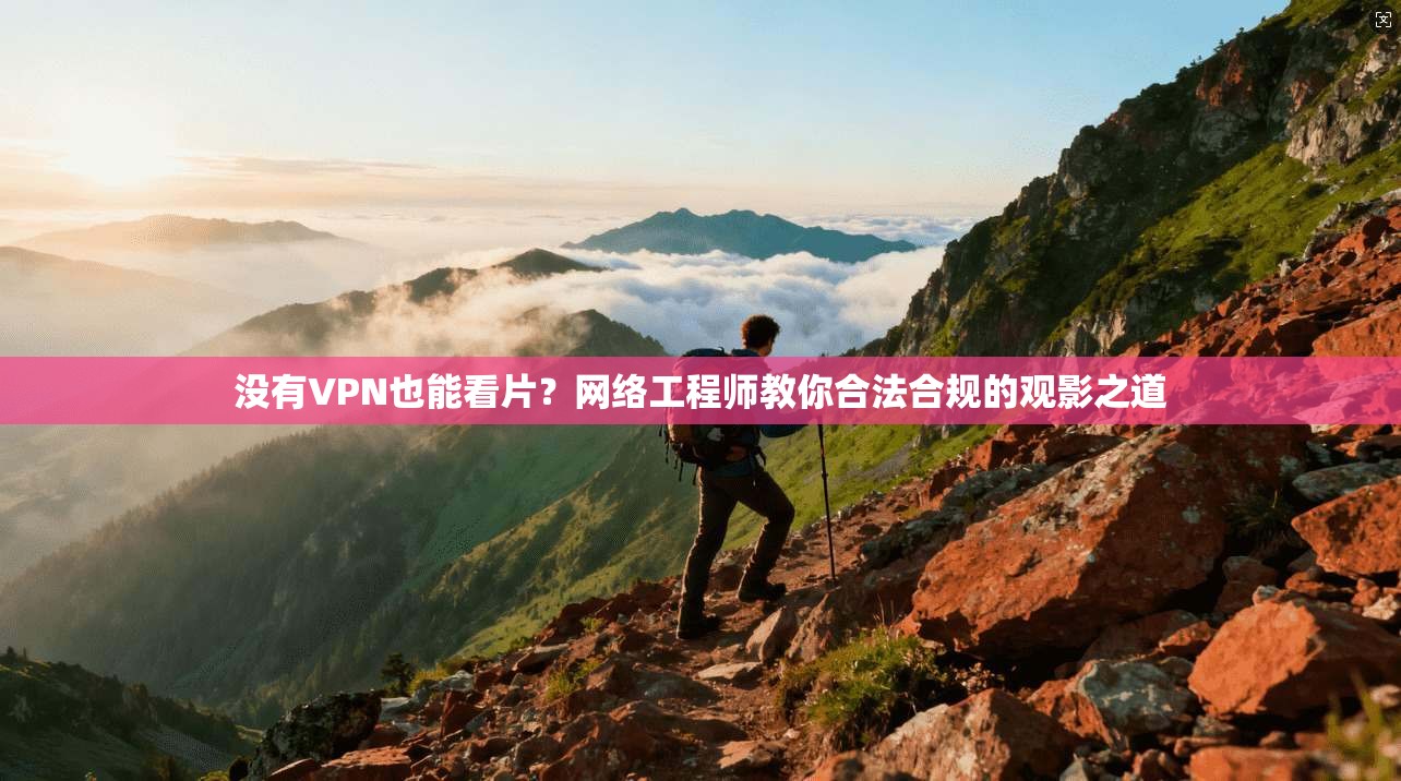没有VPN也能看片？网络工程师教你合法合规的观影之道