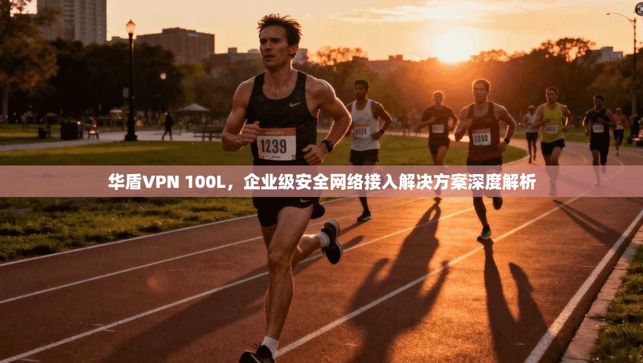 华盾VPN 100L，企业级安全网络接入解决方案深度解析