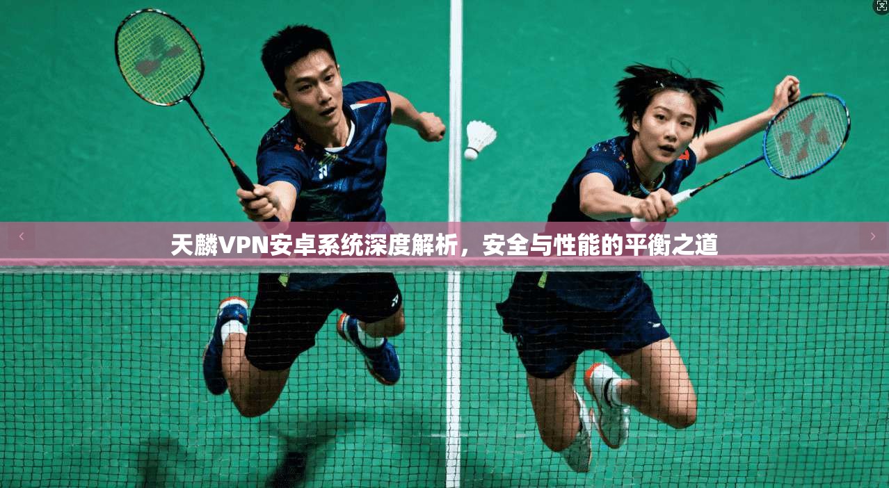 天麟VPN安卓系统深度解析，安全与性能的平衡之道