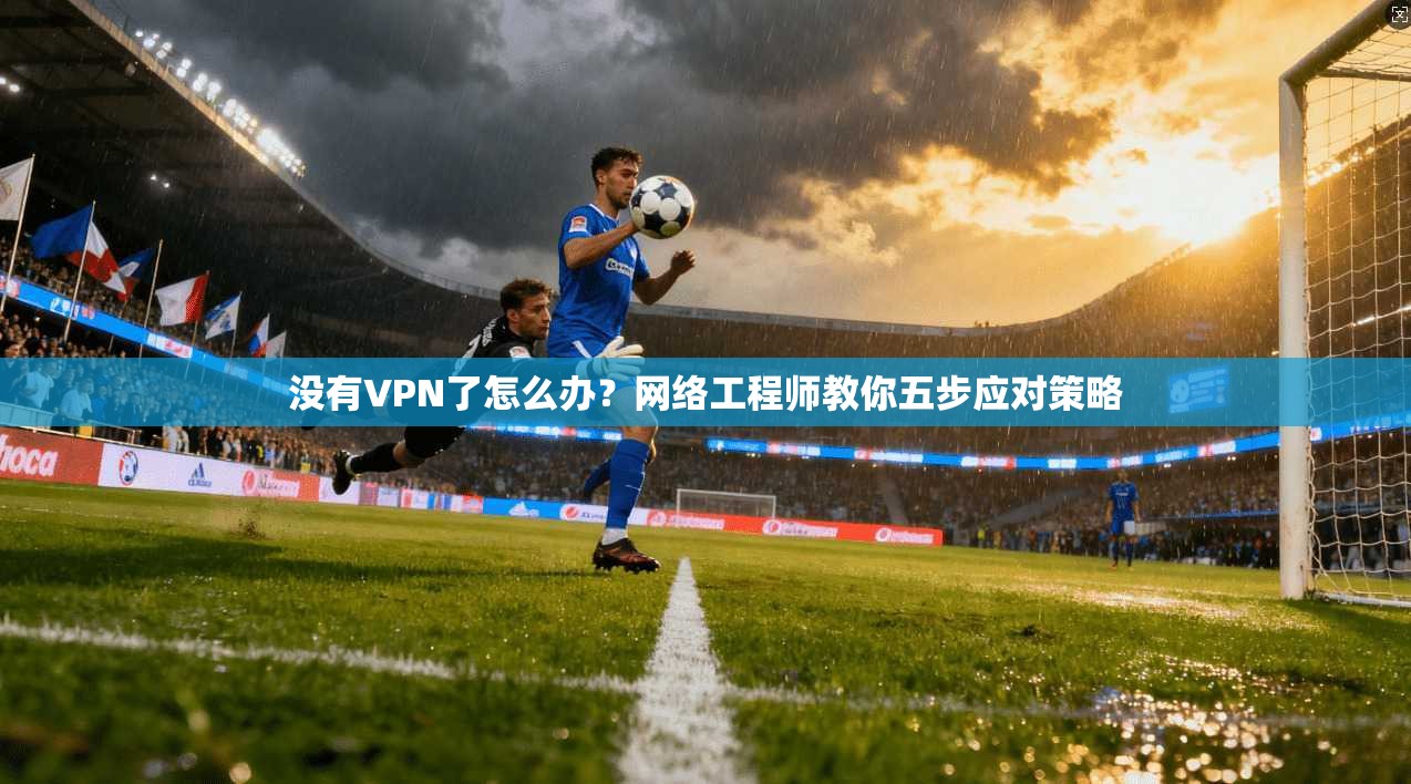没有VPN了怎么办？网络工程师教你五步应对策略