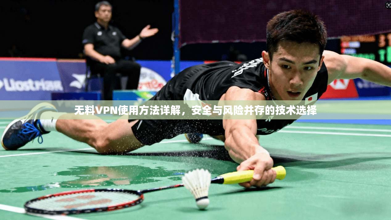 无料VPN使用方法详解，安全与风险并存的技术选择
