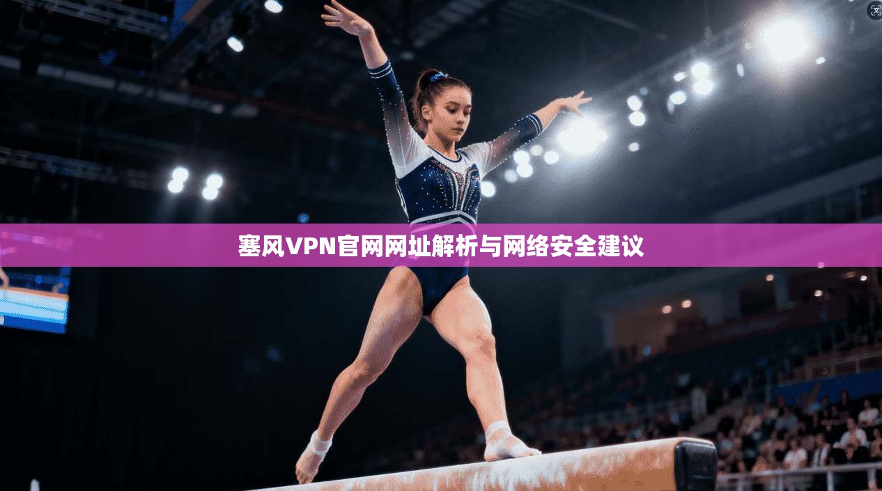 塞风VPN官网网址解析与网络安全建议