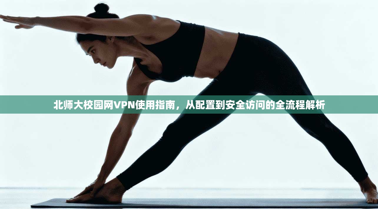 北师大校园网VPN使用指南，从配置到安全访问的全流程解析