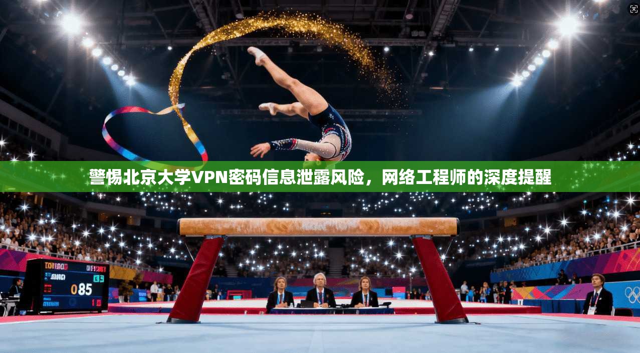 警惕北京大学VPN密码信息泄露风险，网络工程师的深度提醒