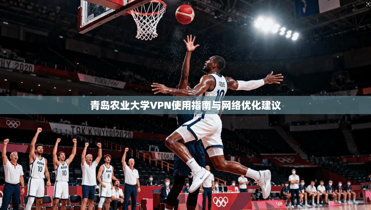 青岛农业大学VPN使用指南与网络优化建议