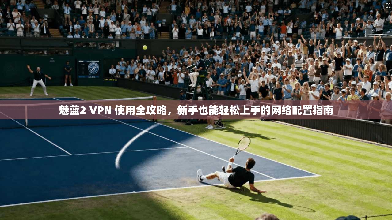 魅蓝2 VPN 使用全攻略，新手也能轻松上手的网络配置指南