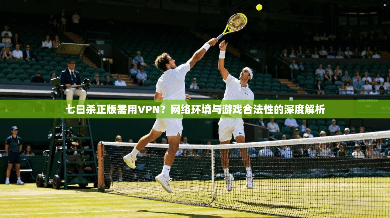 七日杀正版需用VPN？网络环境与游戏合法性的深度解析
