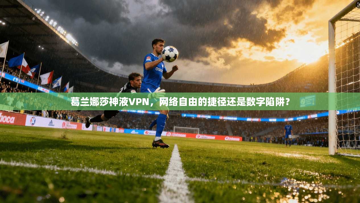葛兰娜莎神液VPN，网络自由的捷径还是数字陷阱？