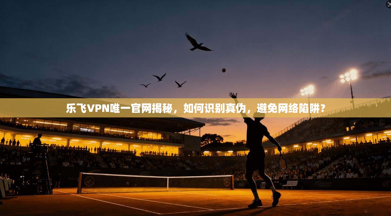 乐飞VPN唯一官网揭秘，如何识别真伪，避免网络陷阱？