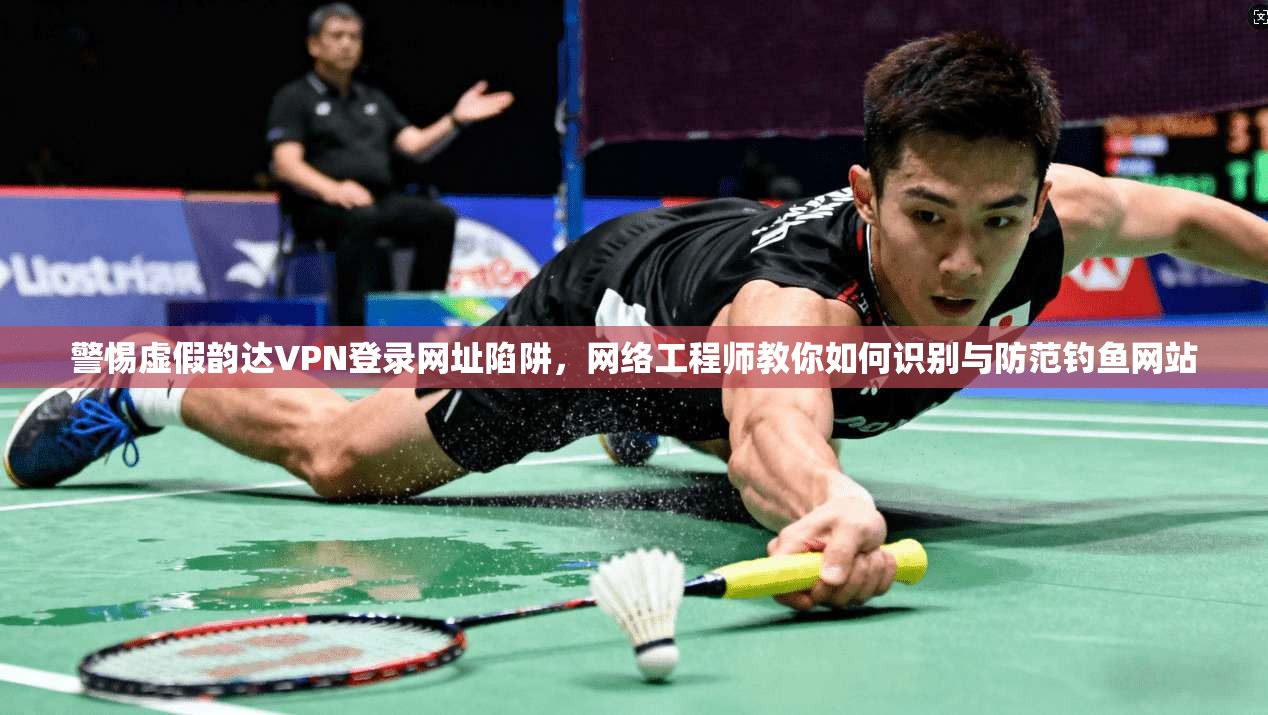 警惕虚假韵达VPN登录网址陷阱，网络工程师教你如何识别与防范钓鱼网站