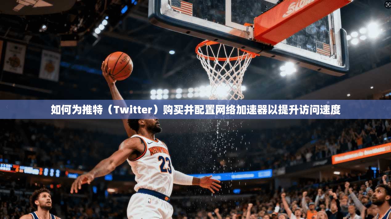 如何为推特（Twitter）购买并配置网络加速器以提升访问速度