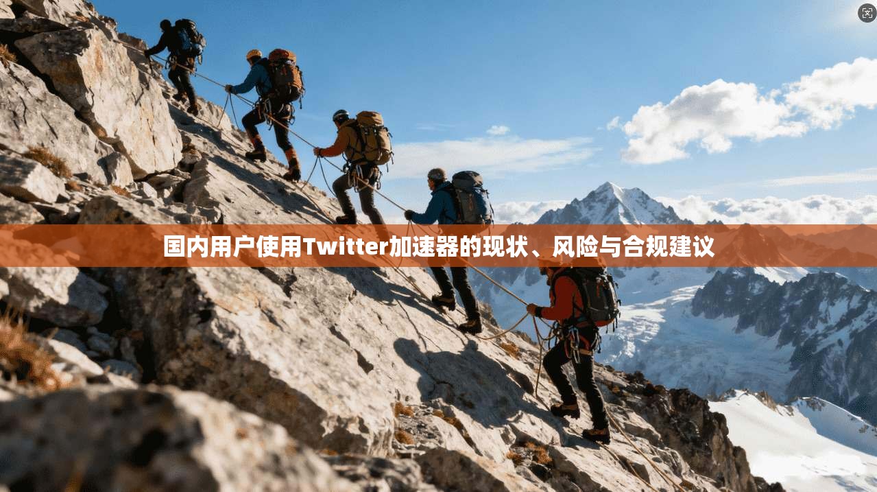 国内用户使用Twitter加速器的现状、风险与合规建议