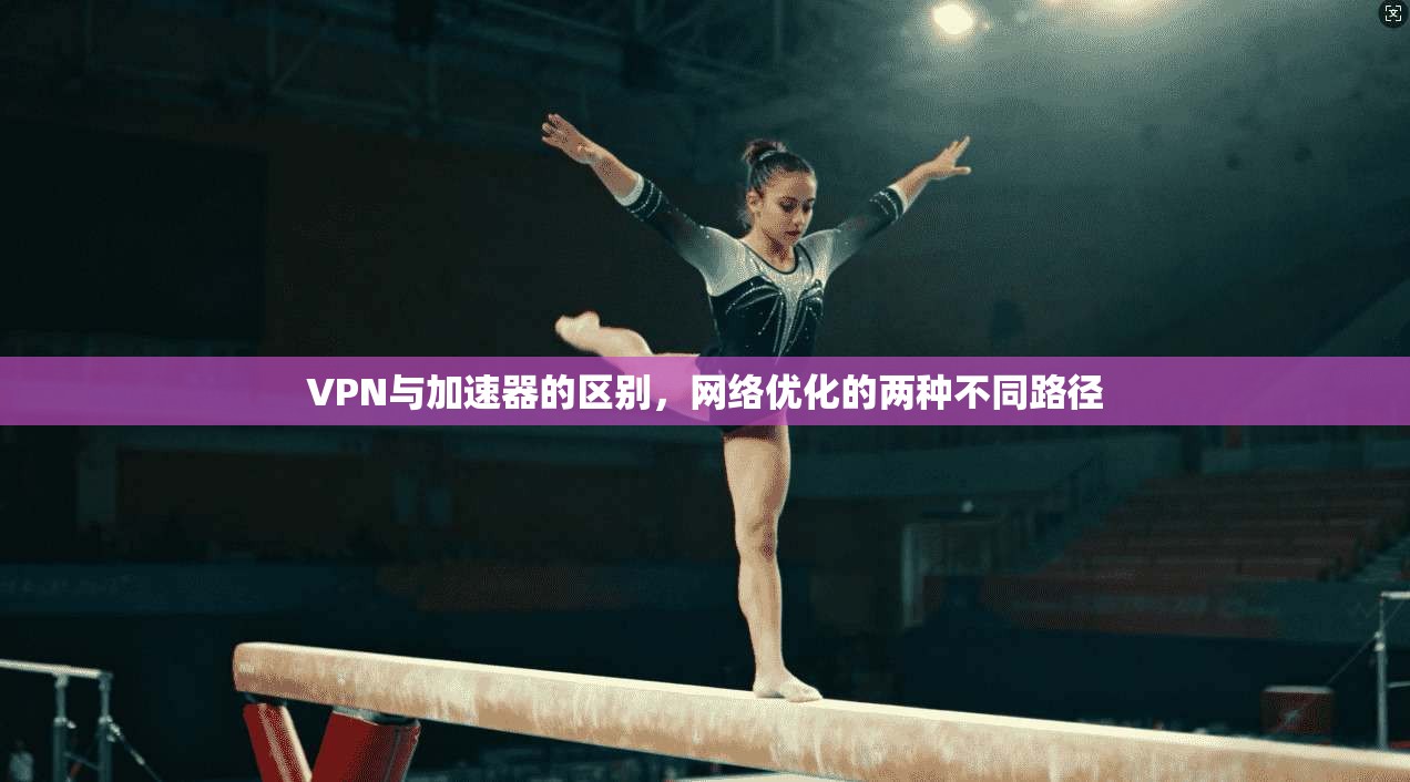 VPN与加速器的区别,网络优化的两种不同路径