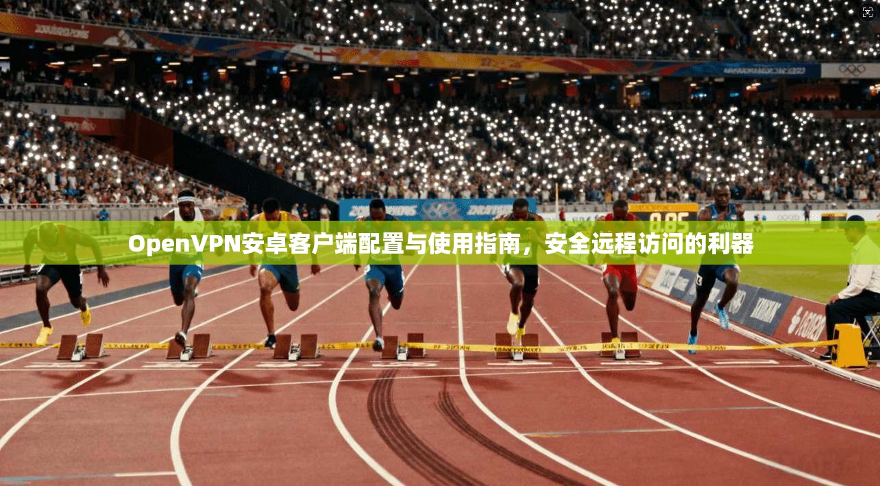 OpenVPN安卓客户端配置与使用指南,安全远程访问的利器