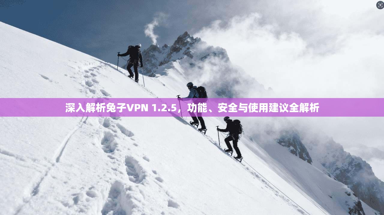 深入解析兔子VPN 1.2.5,功能、安全与使用建议全解析 深入解析兔子VPN 1.2.5,功能、安全与使用建议全解析