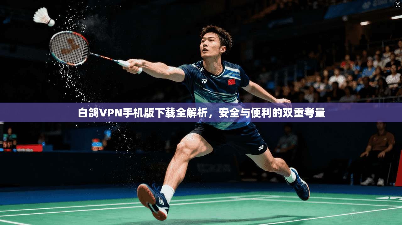 白鸽VPN手机版下载全解析，安全与便利的双重考量