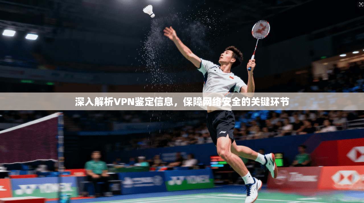 深入解析VPN鉴定信息,保障网络安全的关键环节