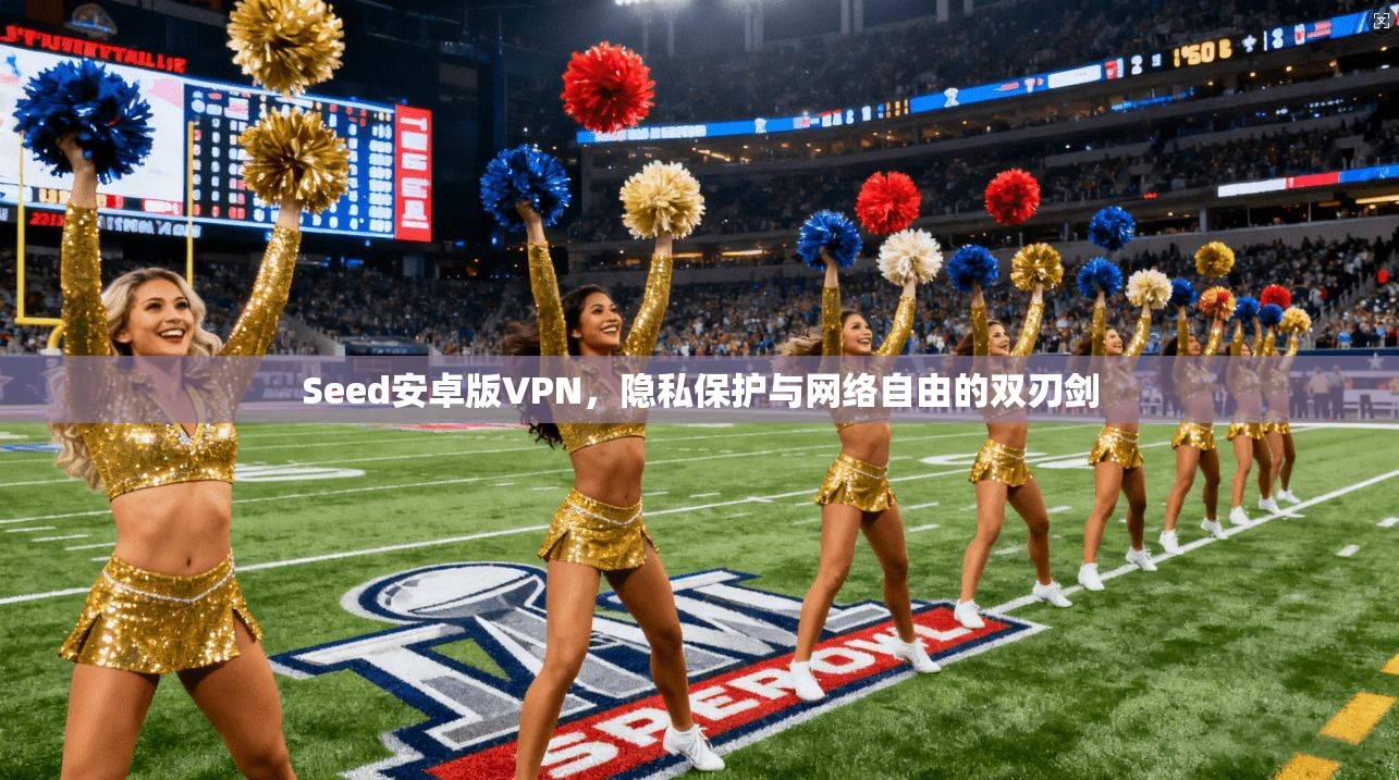 Seed安卓版VPN,隐私保护与网络自由的双刃剑