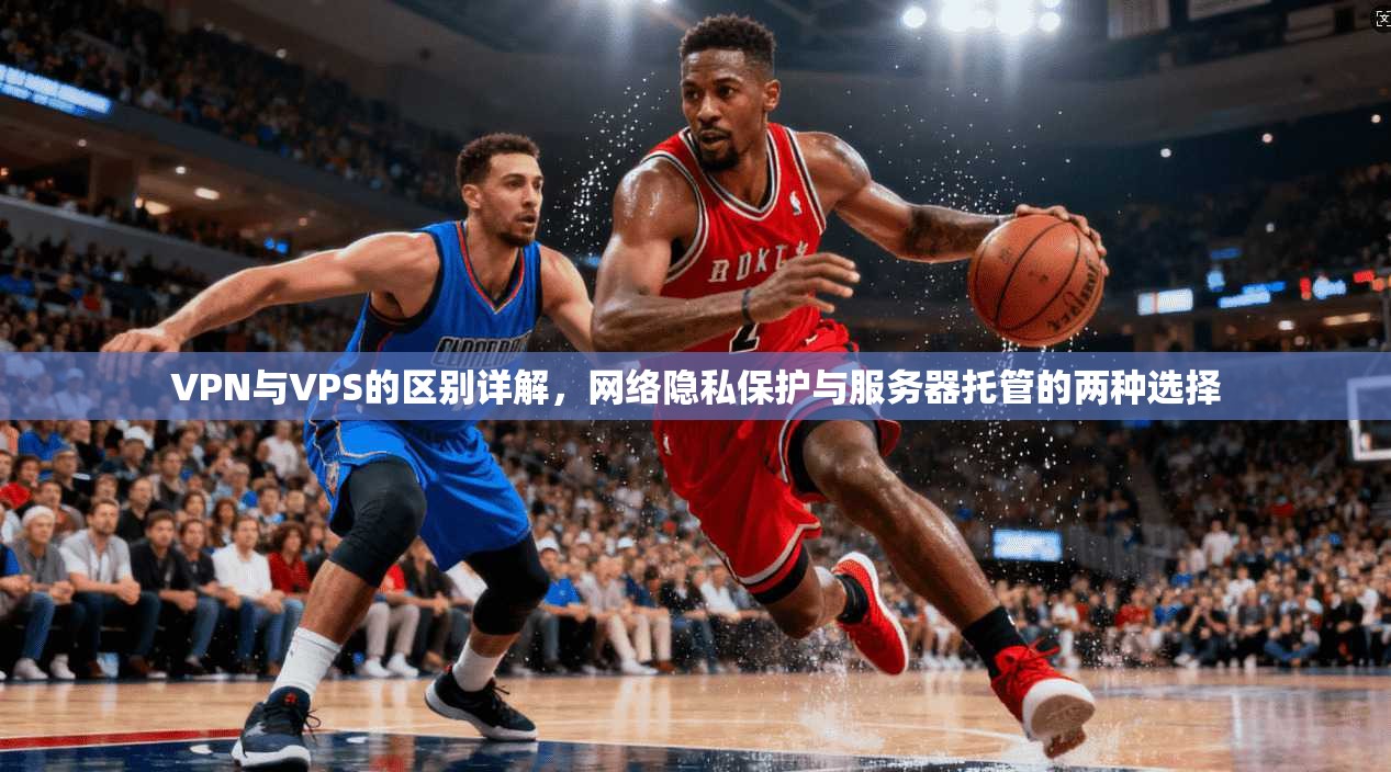 VPN与VPS的区别详解，网络隐私保护与服务器托管的两种选择