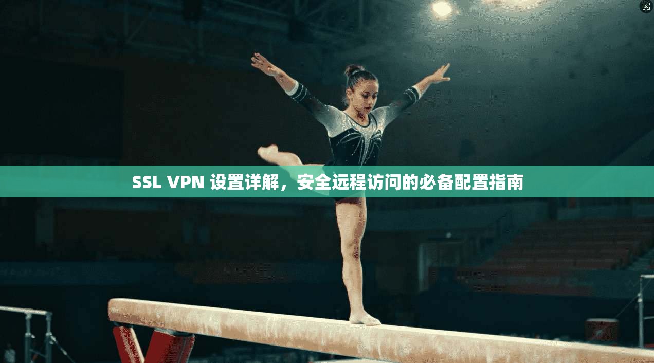 SSL VPN 设置详解，安全远程访问的必备配置指南