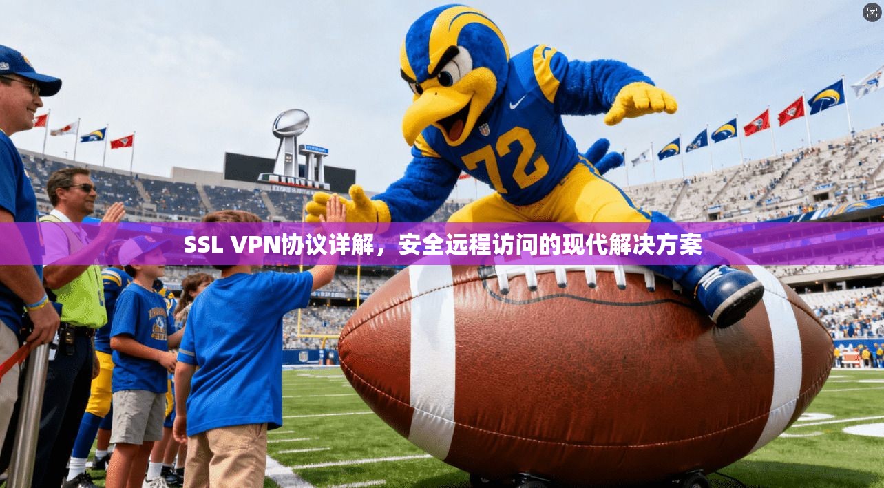 SSL VPN协议详解,安全远程访问的现代解决方案
