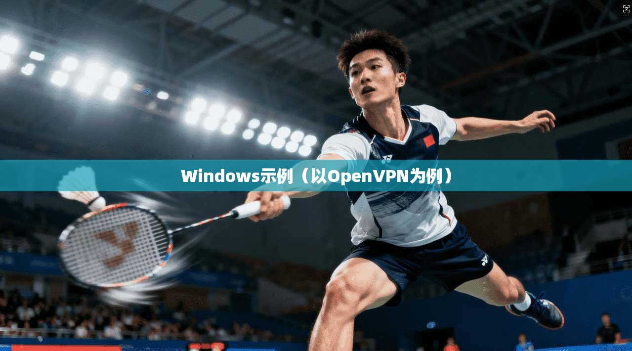 Windows示例（以OpenVPN为例）