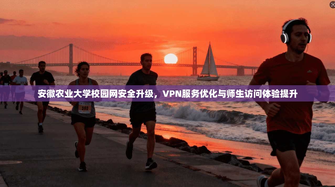 安徽农业大学校园网安全升级，VPN服务优化与师生访问体验提升
