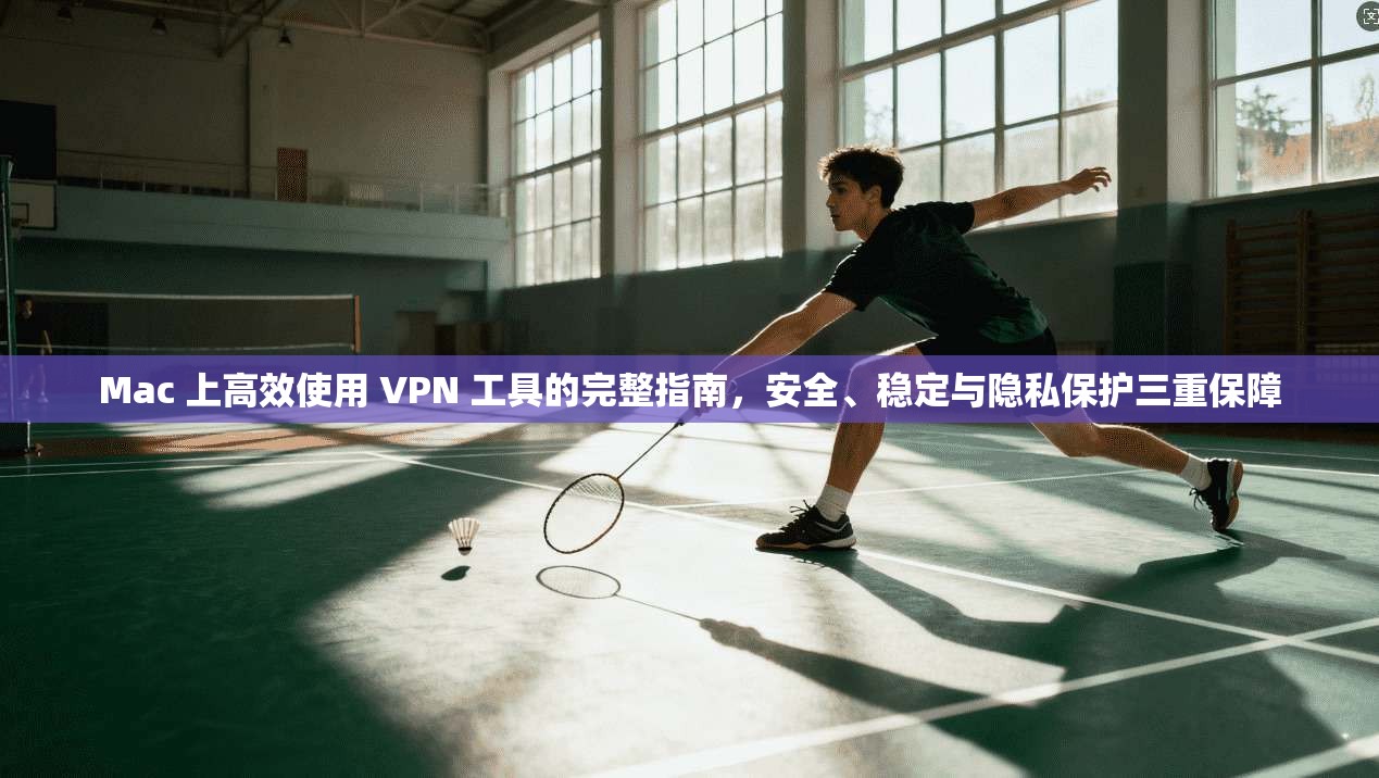 Mac 上高效使用 VPN 工具的完整指南，安全、稳定与隐私保护三重保障