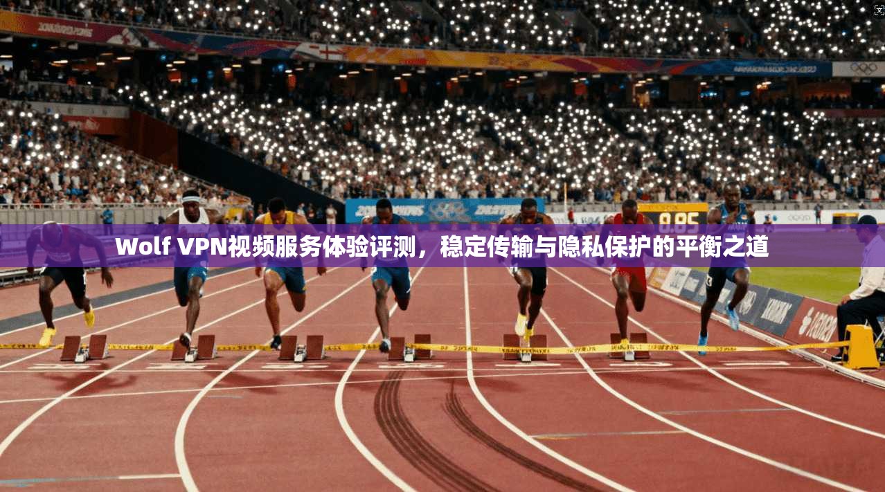 Wolf VPN视频服务体验评测，稳定传输与隐私保护的平衡之道