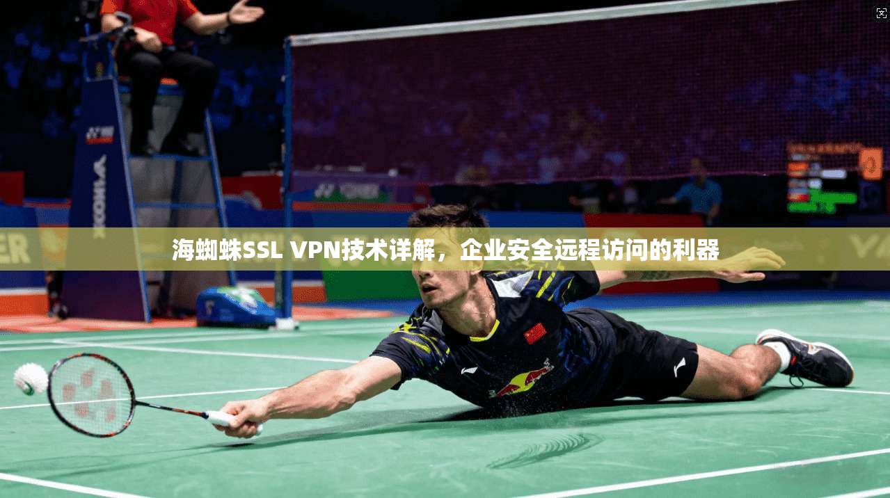 海蜘蛛SSL VPN技术详解，企业安全远程访问的利器