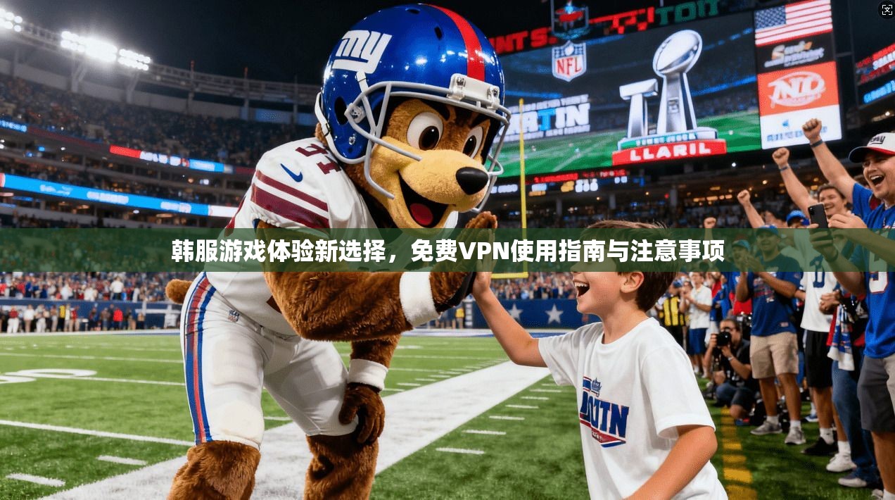 韩服游戏体验新选择,免费VPN使用指南与注意事项