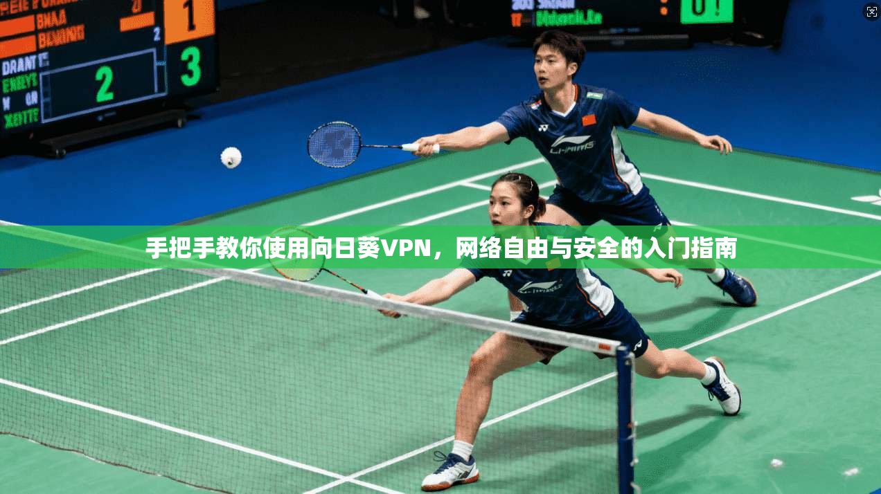 手把手教你使用向日葵VPN,网络自由与安全的入门指南